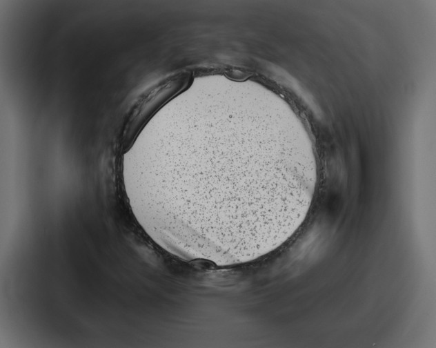 X0000087051304200705160943