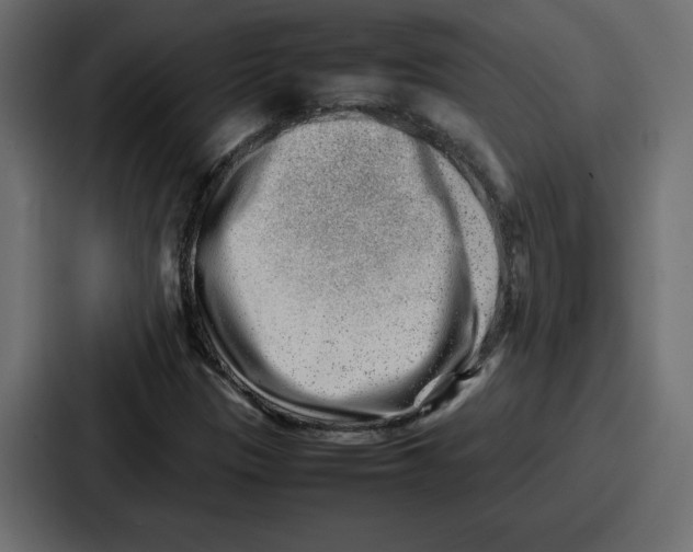 X0000087051305200705160943