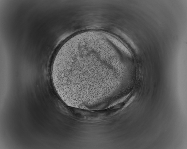 X0000087051308200705160943