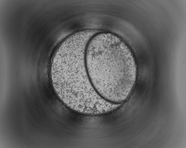 X0000087051314200705160943