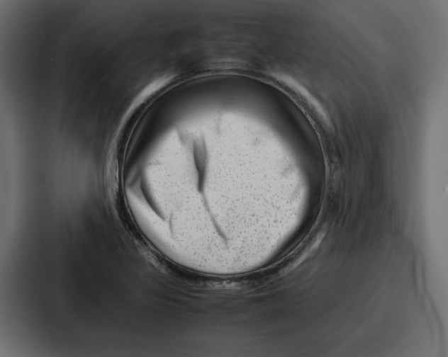 X0000087051317200705160943