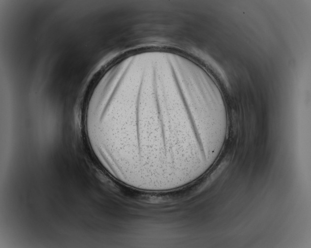 X0000087051318200705160943