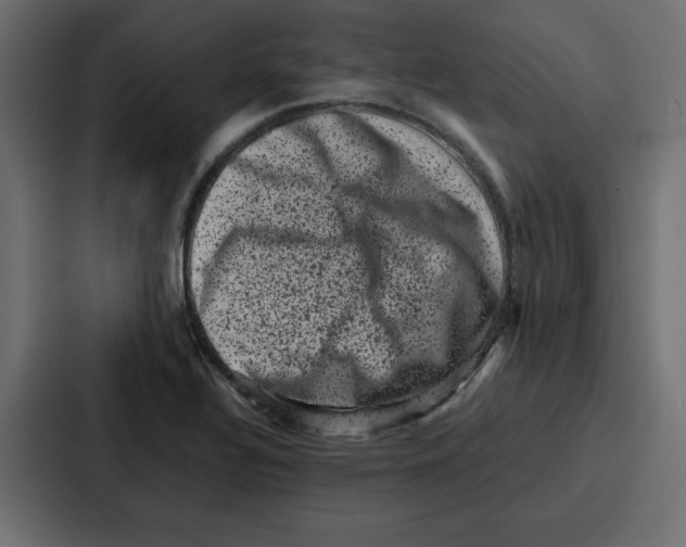 X0000087051320200705160943