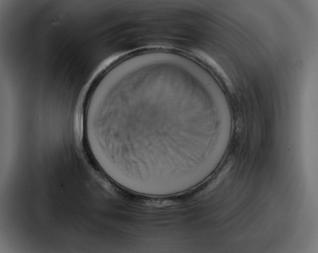 X0000087051323200705160943