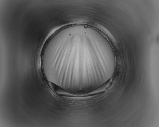 X0000087051324200705160943