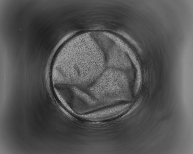 X0000087051325200705160943