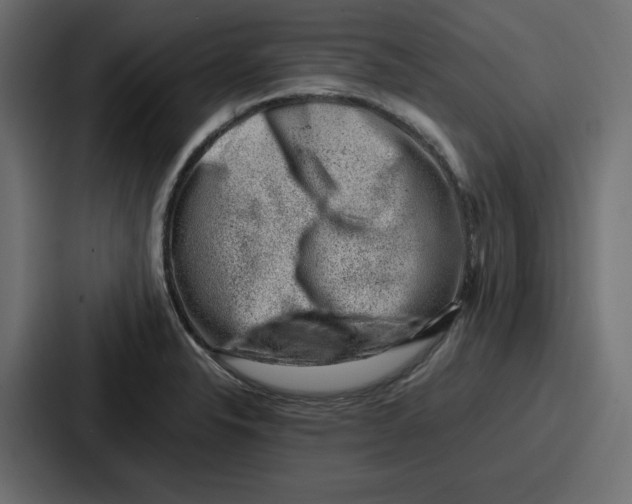 X0000087051326200705160943