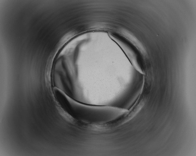 X0000087051330200705160943