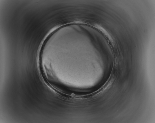 X0000087051331200705160943