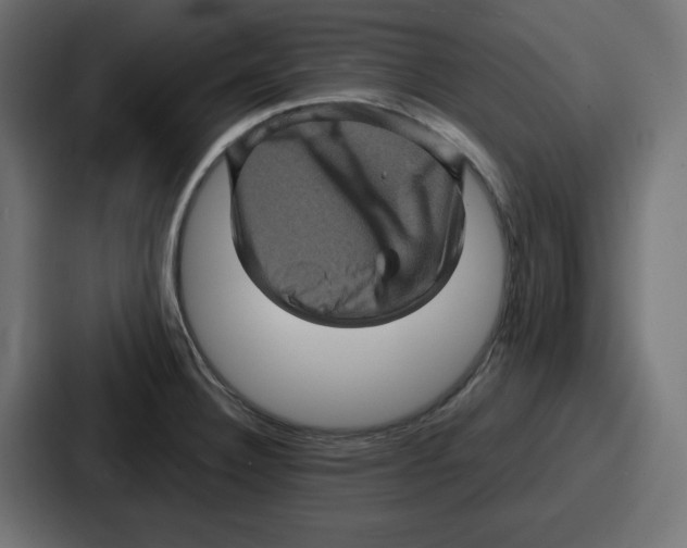 X0000087051332200705160943