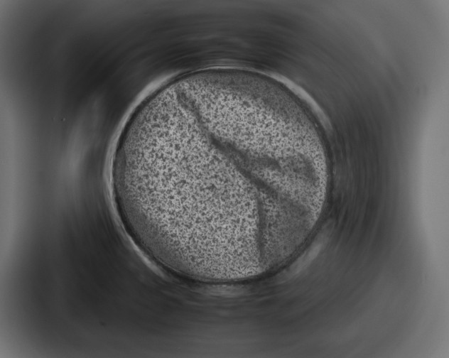 X0000087051333200705160943