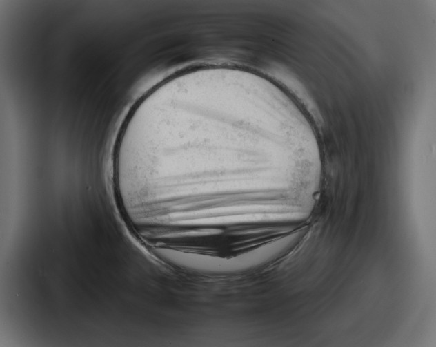 X0000087051335200705160943