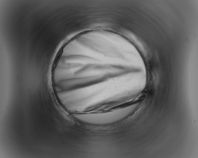 X0000087051336200705160943