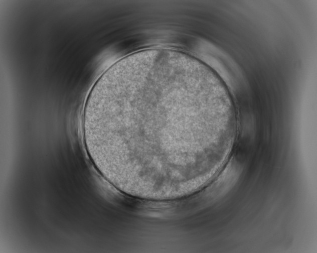 X0000087051338200705160943