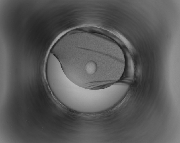 X0000087051340200705160943