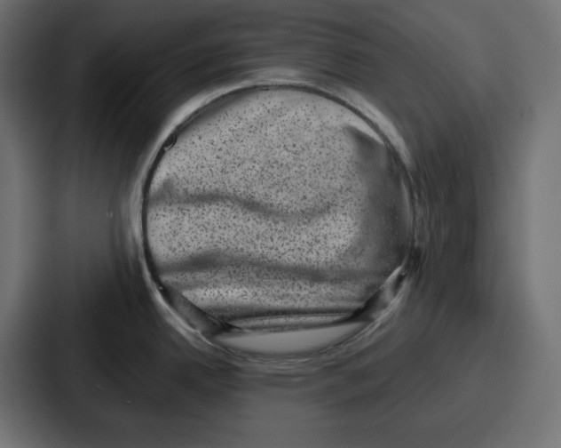 X0000087051342200705160943