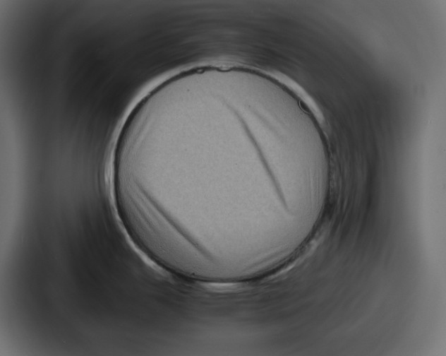 X0000087051343200705160943