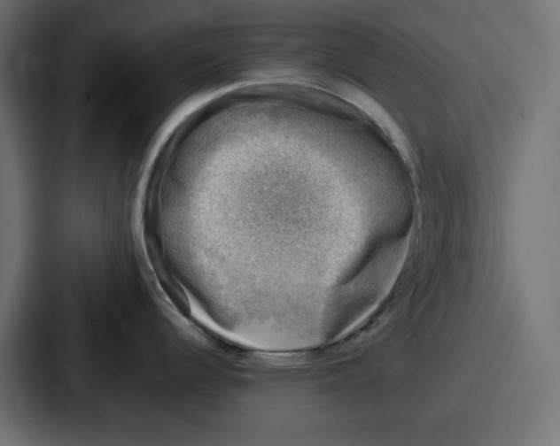 X0000087051344200705160943