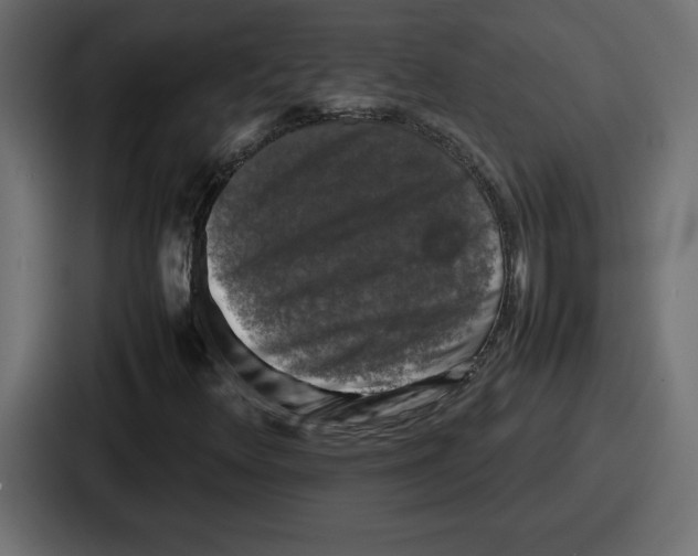 X0000087051348200705160942