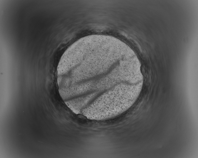 X0000087051349200705160942