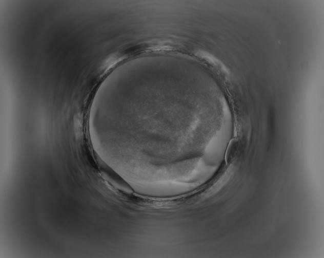 X0000087051353200705160942