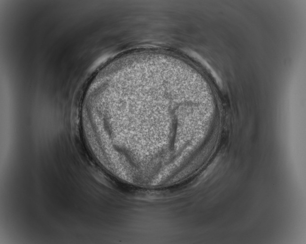 X0000087051355200705160942