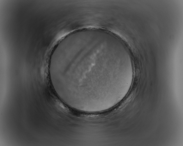 X0000087051359200705160942