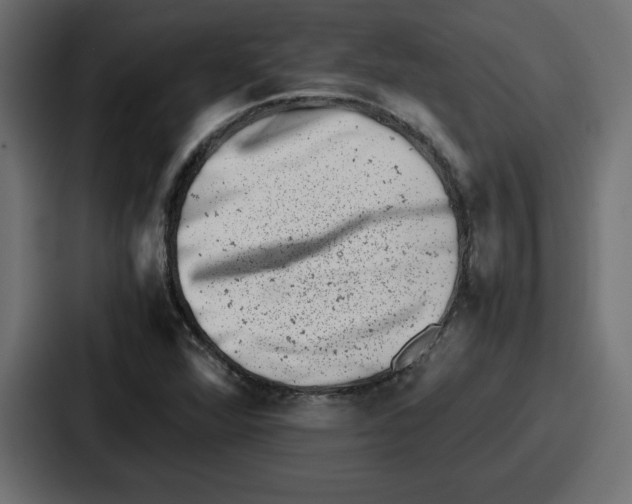 X0000087051360200705160942