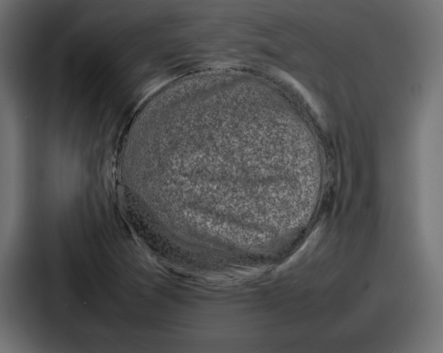 X0000087051361200705160942