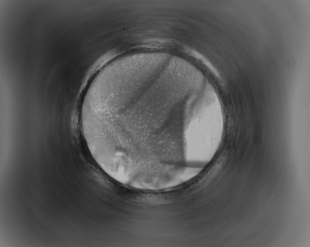 X0000087051362200705160942