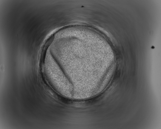 X0000087051363200705160942