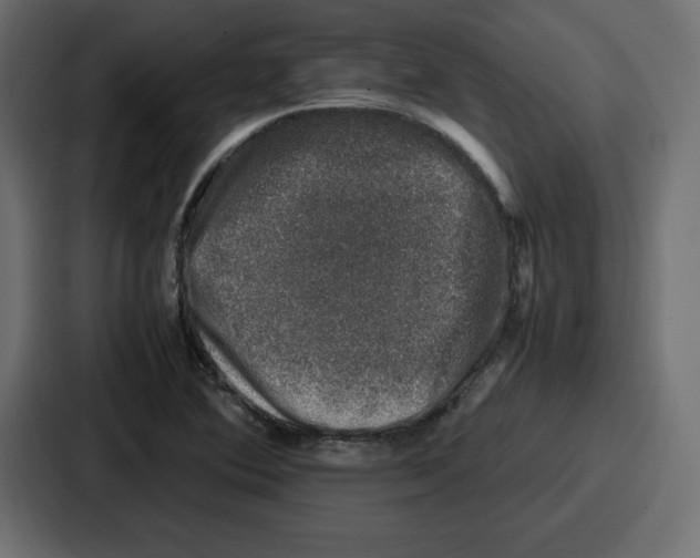 X0000087051364200705160942