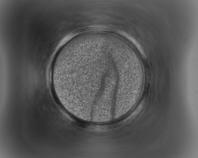 X0000087051365200705160942