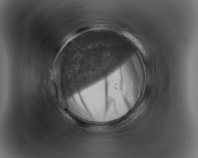 X0000087051369200705160942