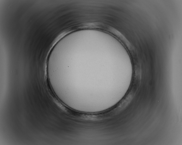 X0000087051370200705160942