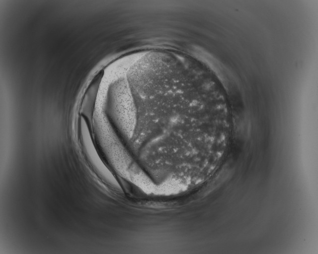 X0000087051371200705160942