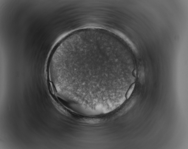 X0000087051372200705160942