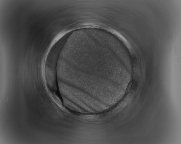 X0000087051373200705160942