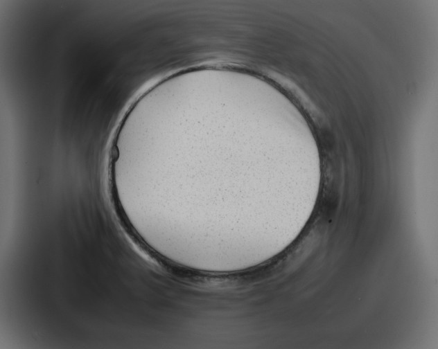 X0000087051375200705160942