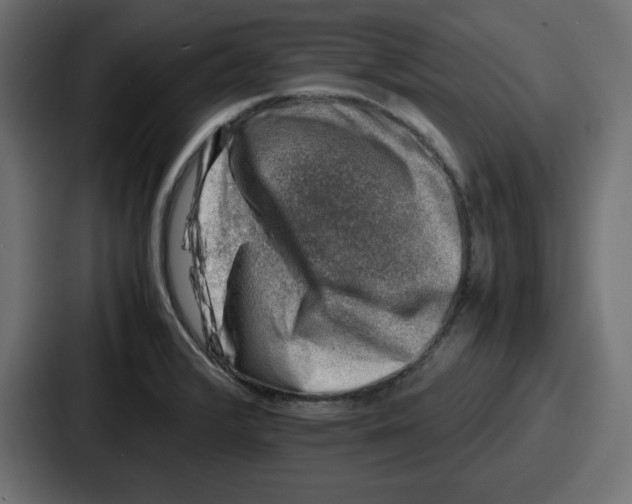 X0000087051376200705160942