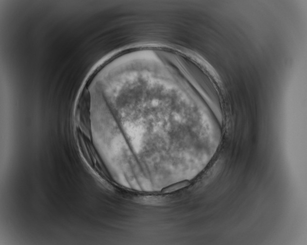 X0000087051380200705160942