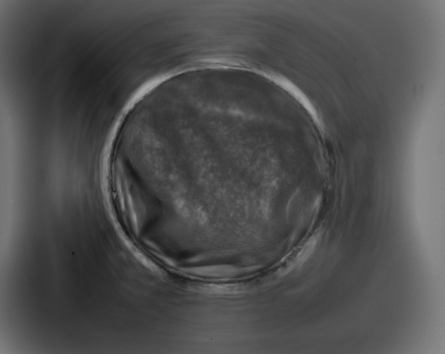 X0000087051381200705160942