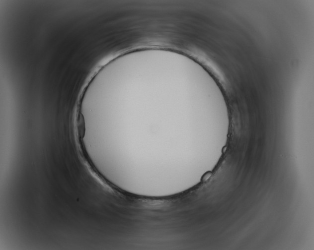 X0000087051382200705160942