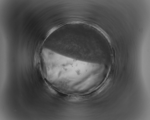 X0000087051385200705160942