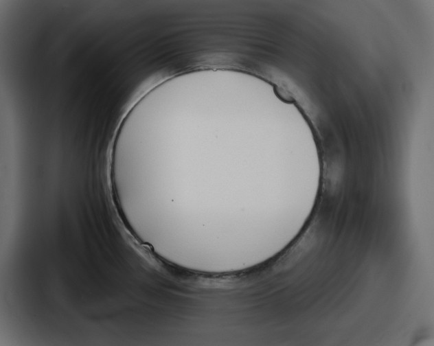 X0000087051386200705160942