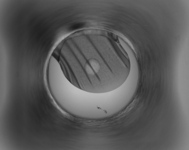 X0000087051387200705160942