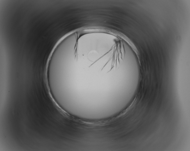 X0000087051388200705160942