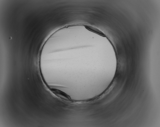 X0000087051390200705160942