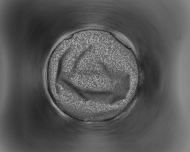 X0000087051391200705160942