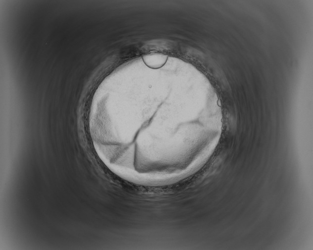 X0000087051393200705160941